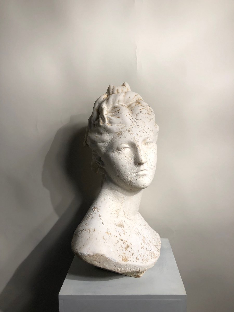 Bust Of Diana In White Marble. -photo-3