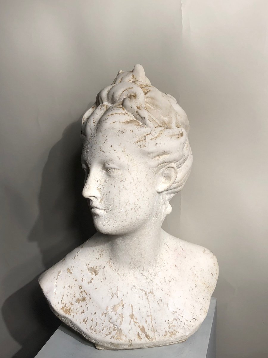 Bust Of Diana In White Marble. -photo-4