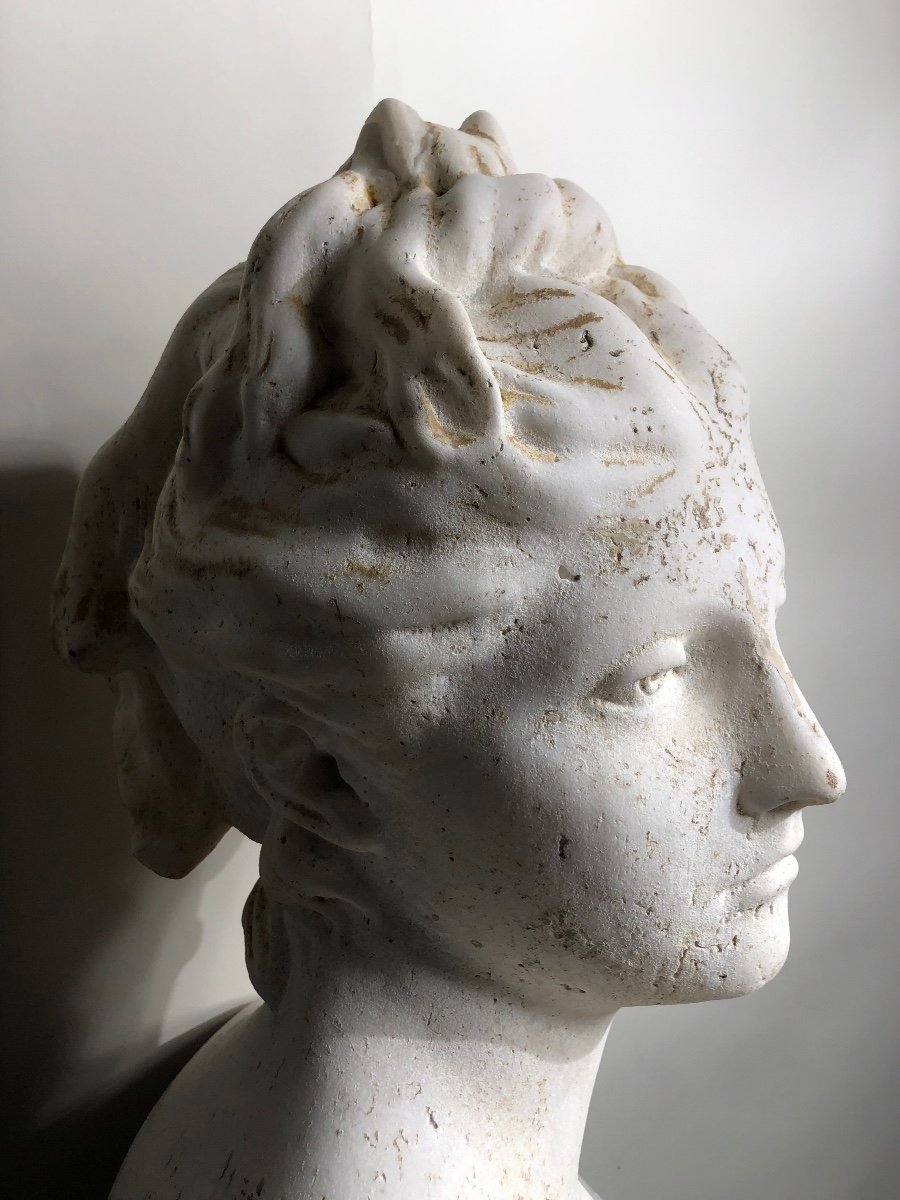 Bust Of Diana In White Marble. -photo-1