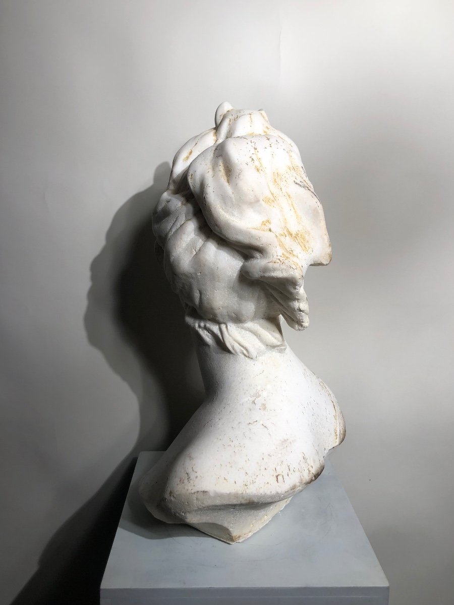 Bust Of Diana In White Marble. -photo-2