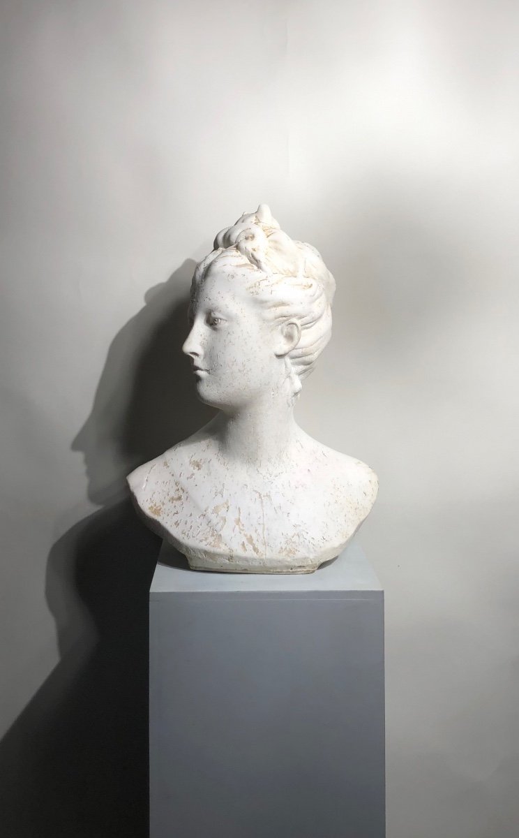 Bust Of Diana In White Marble. 