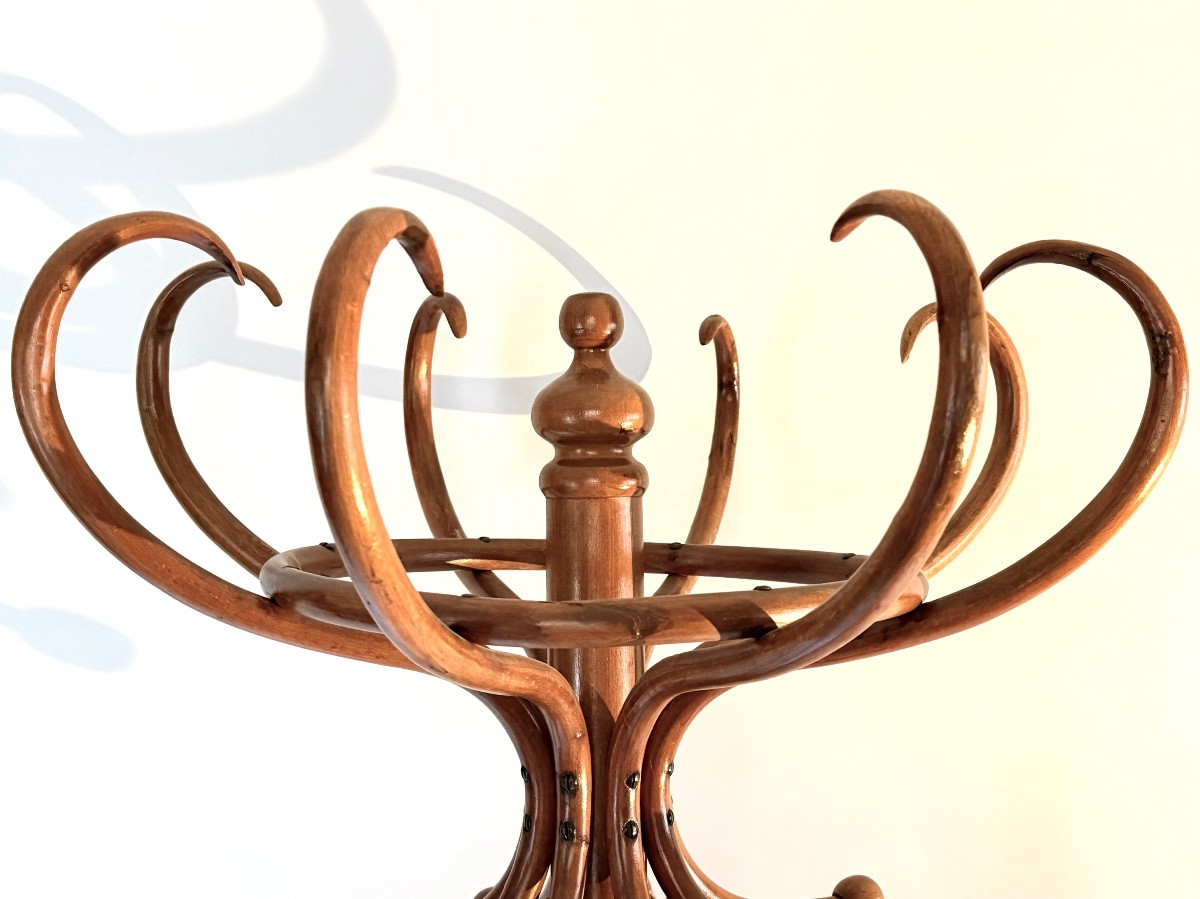 Thonet Coat Rack From The 1880s Made Of Beech Wood. -photo-3
