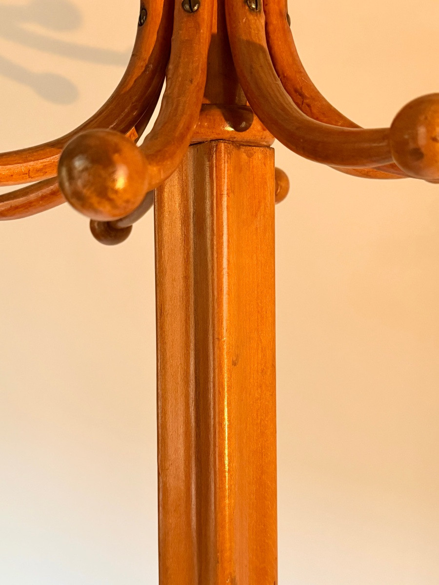 Thonet Coat Rack From The 1880s Made Of Beech Wood. -photo-4