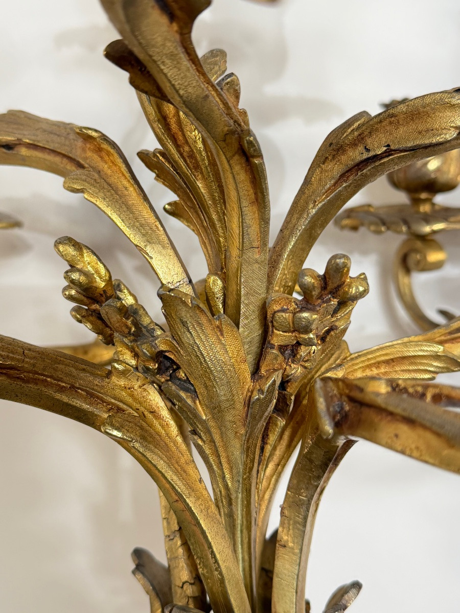Paire de candélabres de style Louis XV. -photo-6