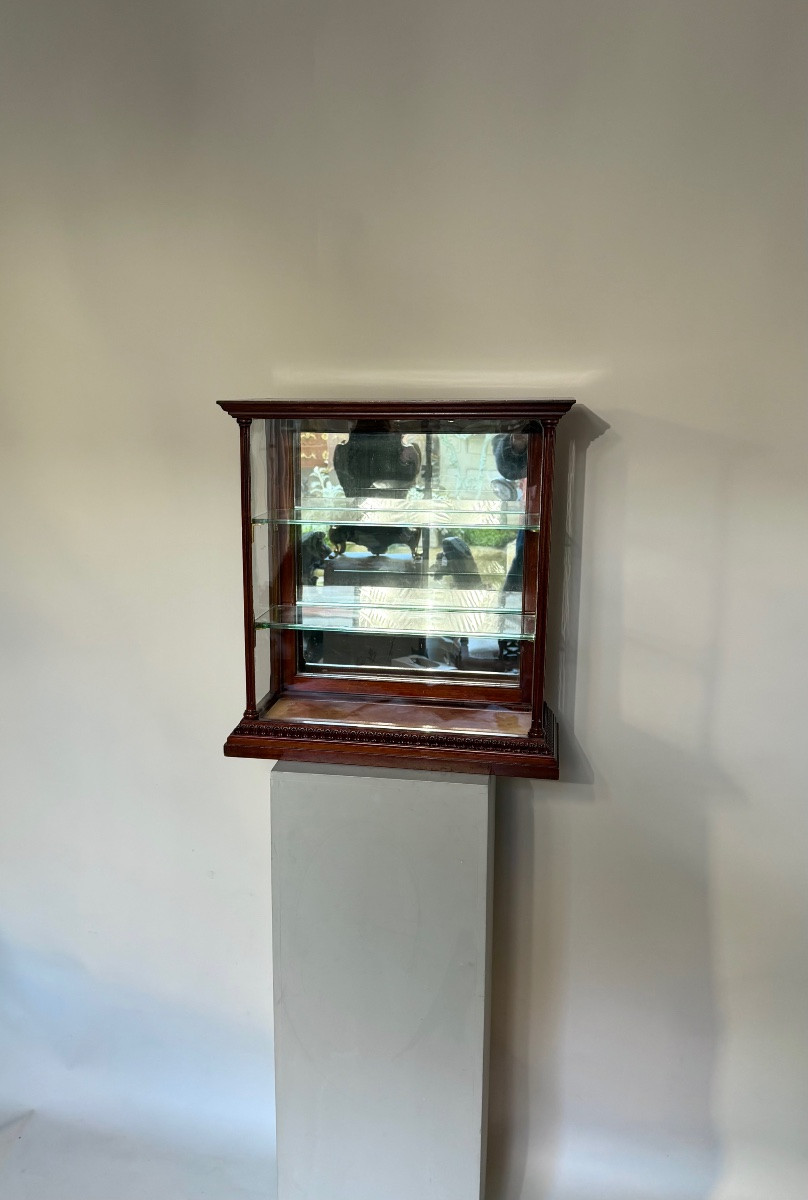 Small Display Case For Precious Objects From The 20th Century.-photo-6