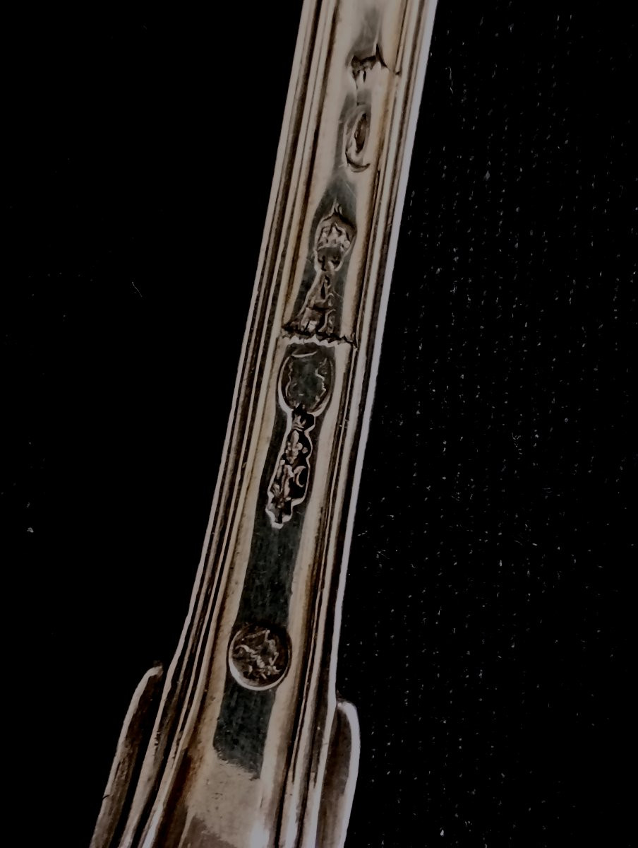 Solid Silver Sugar Sifter Spoon, Louis XVI Period, 16 -photo-1