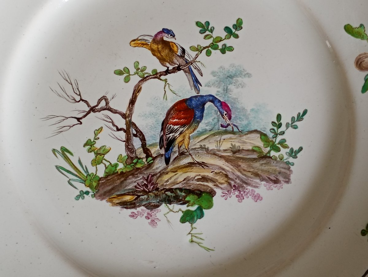Assiette en faience manufacture de sceaux volatiles ou oiseaux epoque 18eme xviii siecle-photo-2