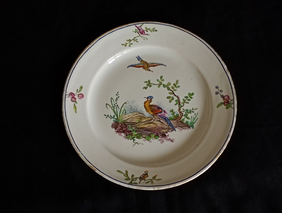 Assiette faience manufacture de Sceaux epoque 18 xviii siècle décor oiseaux et volatiles