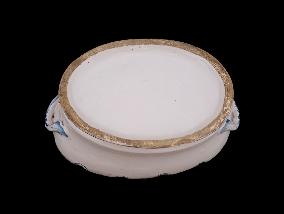 18th-century (louis XV, 15) Moustiers Faience Glass-paned Cooling Cabinet-photo-4