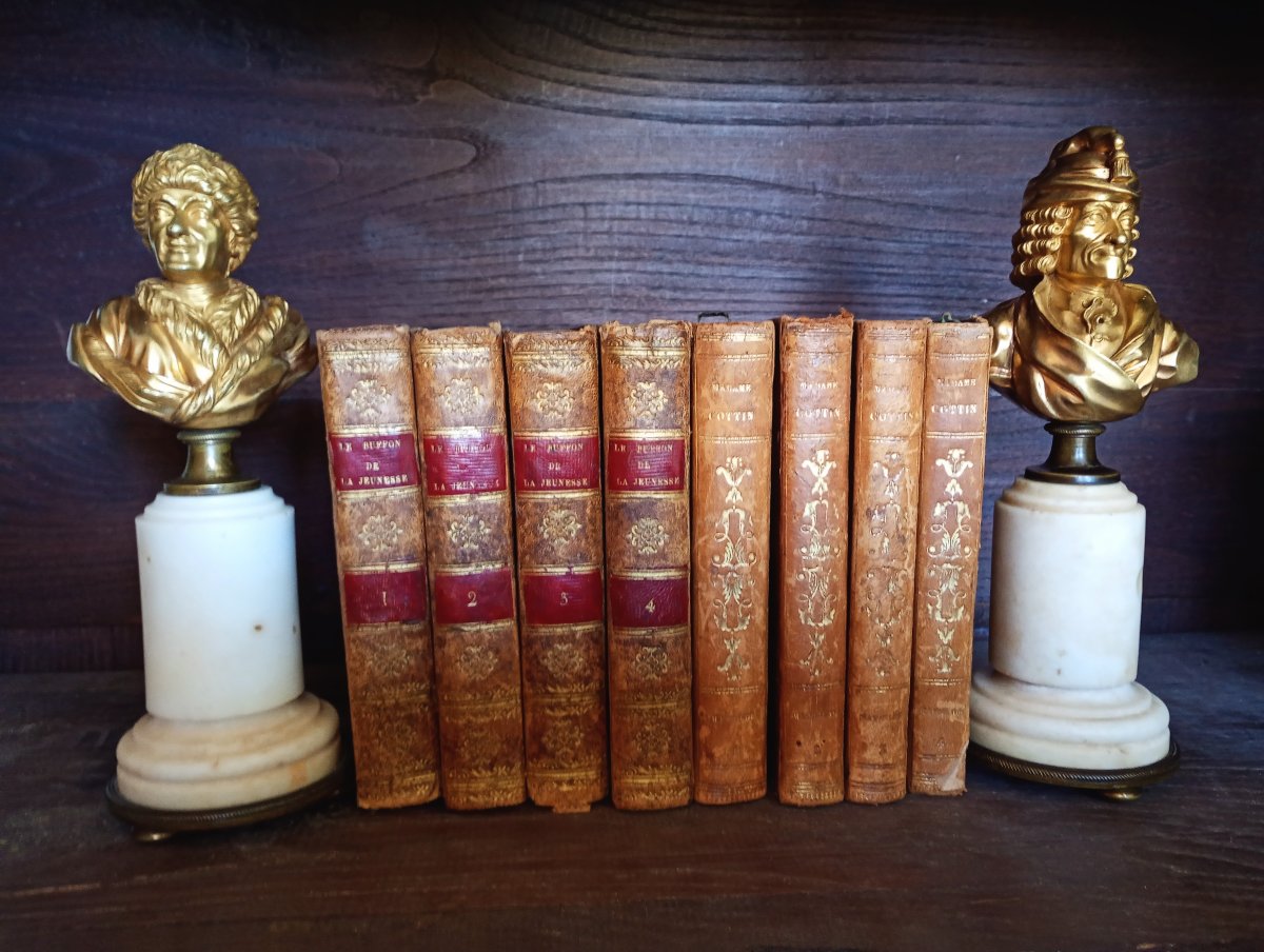 Paire de bustes Voltaire et Rousseau bronze doré epoque Louis xvi 16 xviii 18e siecle Lumières-photo-7