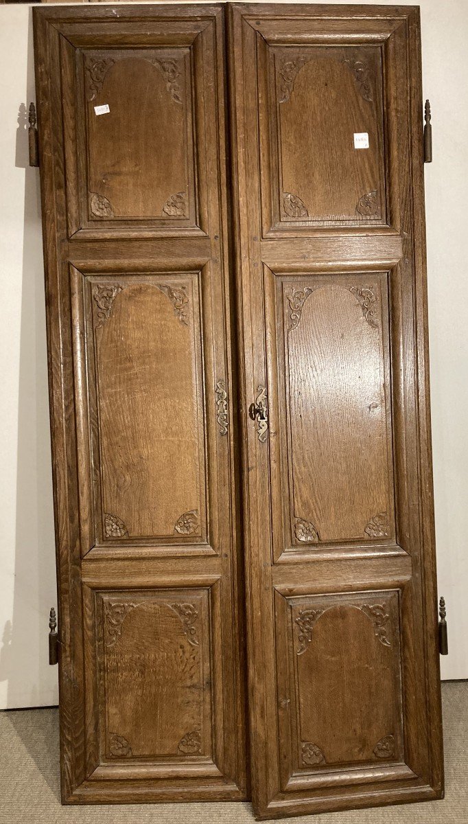 Louis XIV Period Double Cupboard Door
