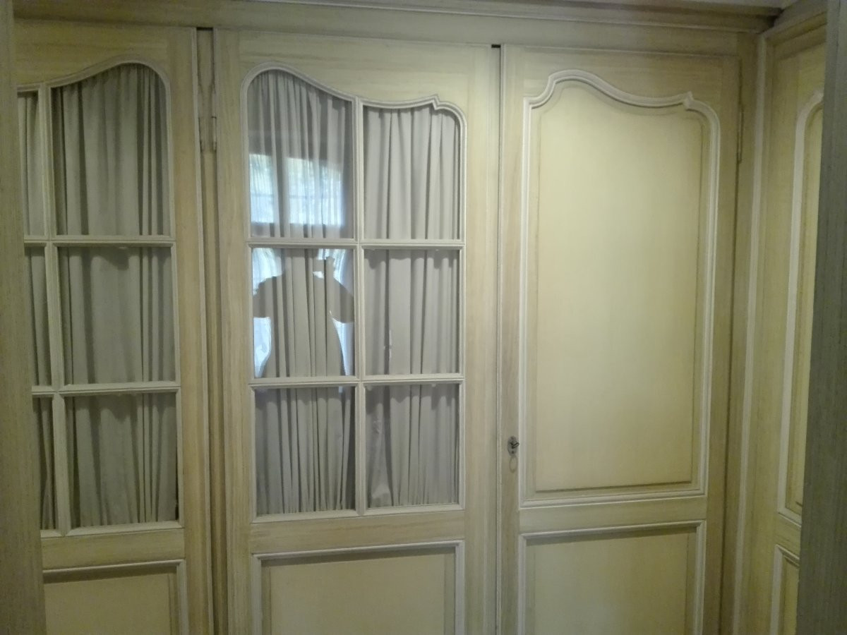 Facade De Placard De Boiserie De Style Louis XV-photo-6
