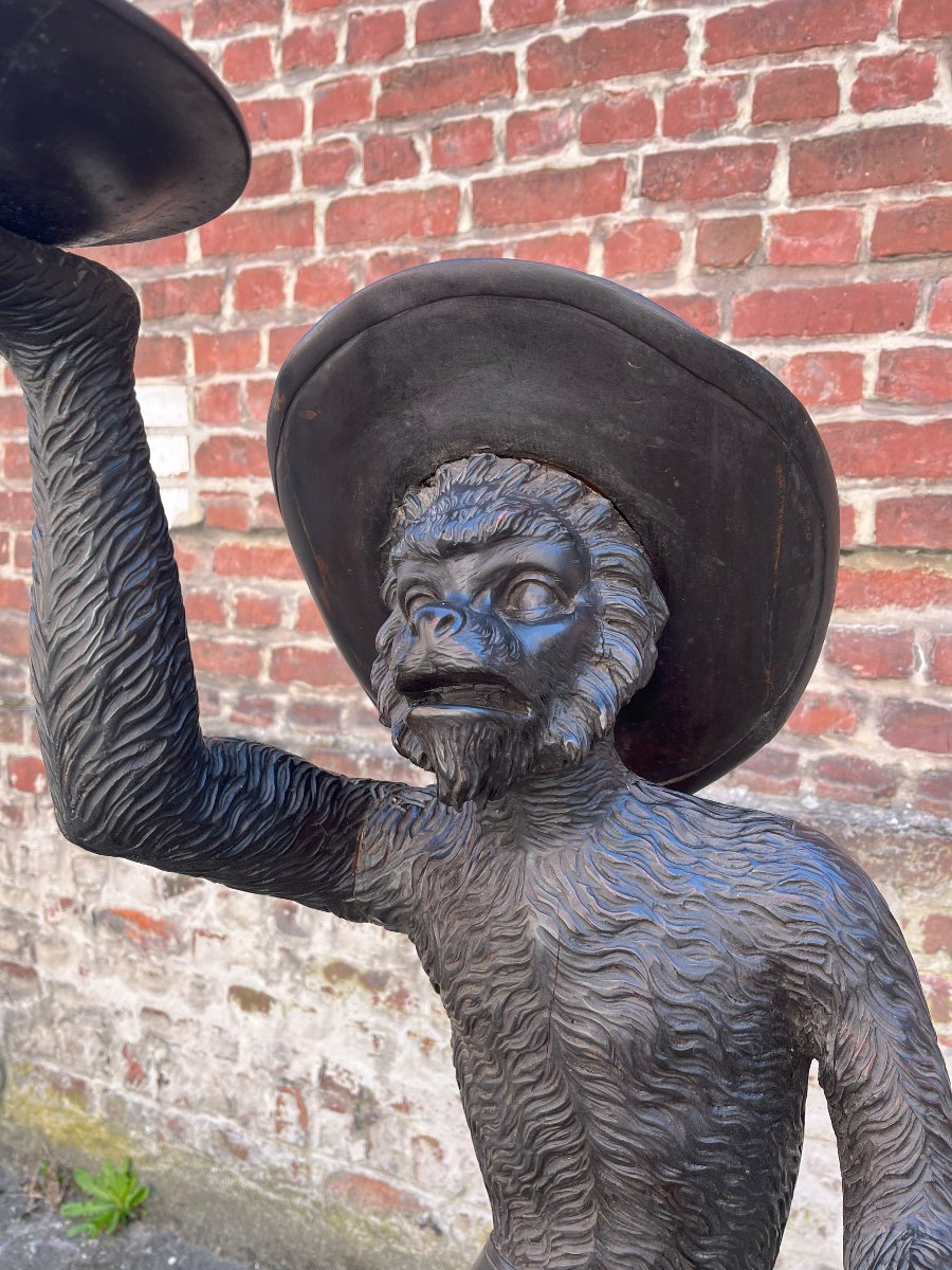 Hatted Servant Monkey -photo-4