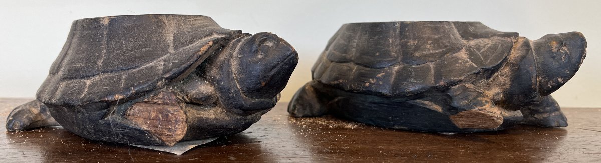 Pieds de meuble tortues-photo-2