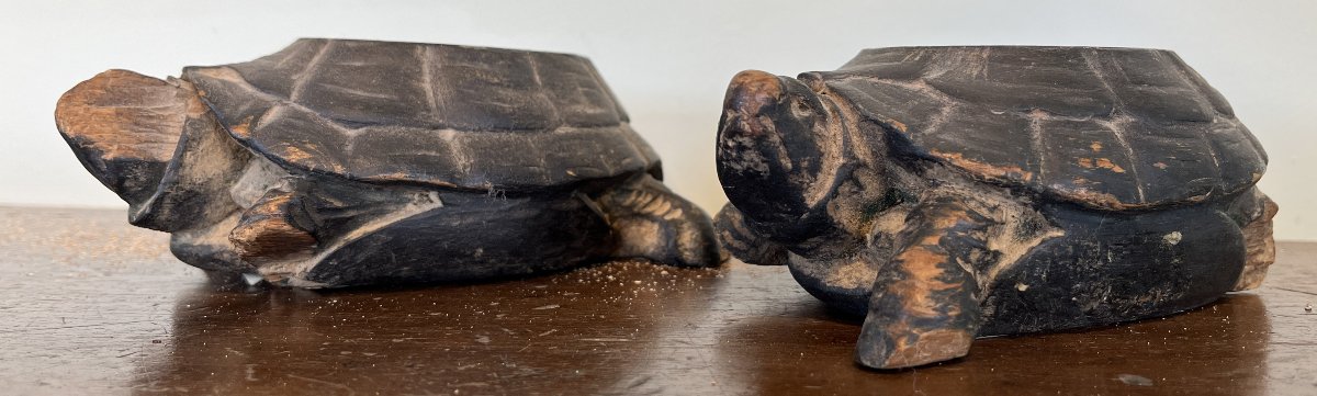 Pieds de meuble tortues-photo-3