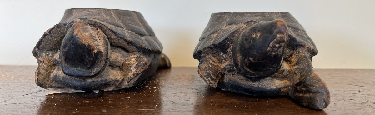 Pieds de meuble tortues-photo-4