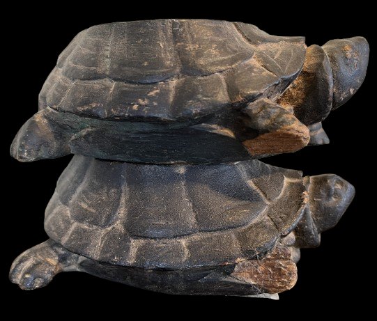 Pieds de meuble tortues