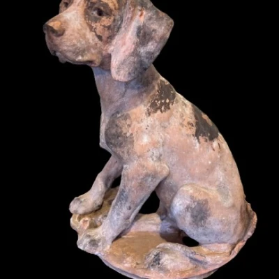 Premiere-Image-1739305