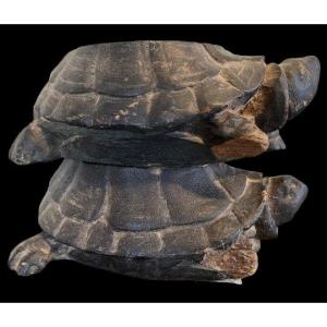 Pieds de meuble tortues