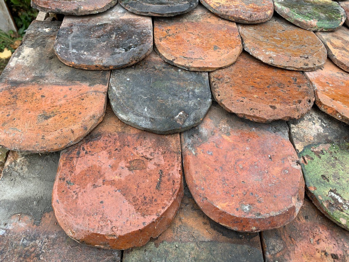 Burgundy Varnished Shell Tiles-photo-4