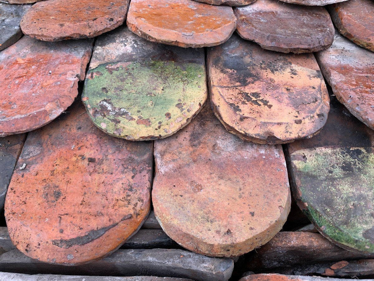 Burgundy Varnished Shell Tiles-photo-1