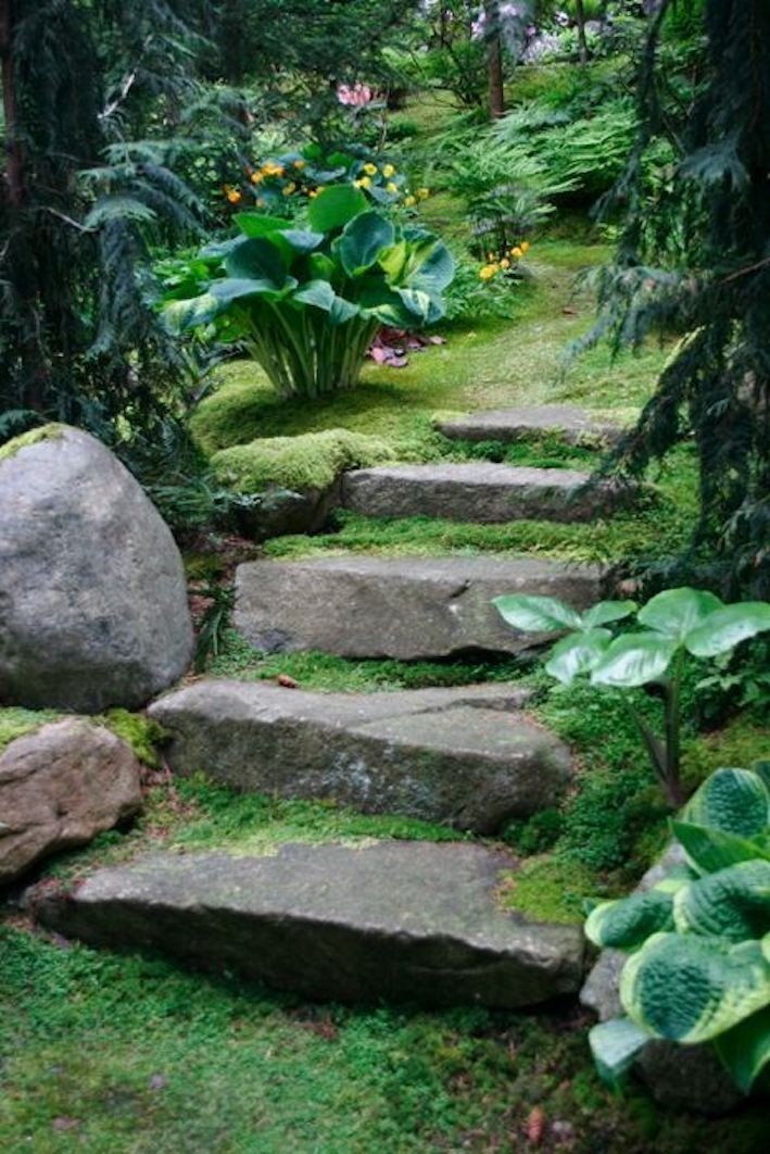 Steps And Degrees-photo-1