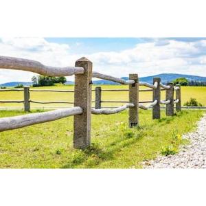 Set Of 10 Park Posts Made Of Vosges Sandstone—16th/17th Century