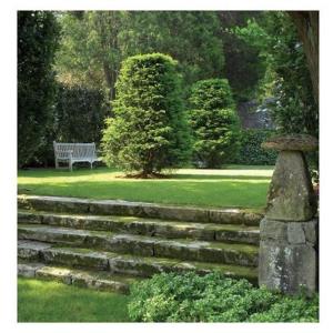 Indoor Or Outdoor Stairs - 17th Or 18th Century