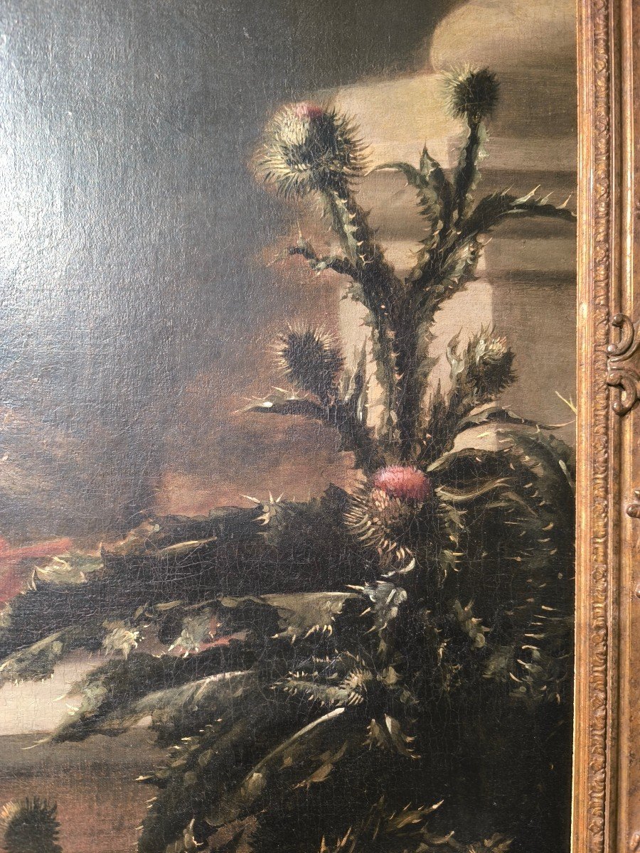 Still Life With Fruit. Late XVII Th, Beginning XVIII Th Century-photo-4