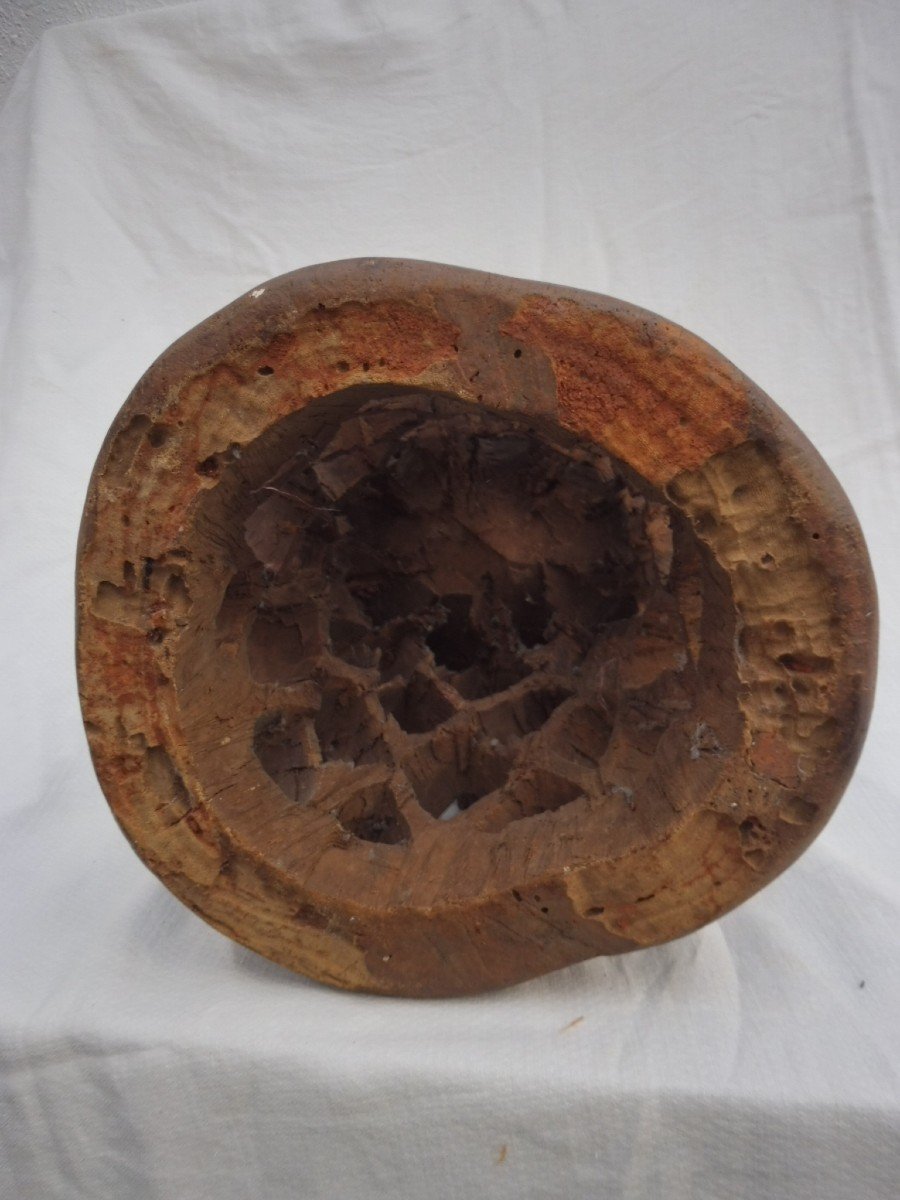 Dignitary Stool, Bamileke, Cameroon. Heavy Wood With Inlaid Old Patina, 30x27x39  Cm Spiders -photo-6