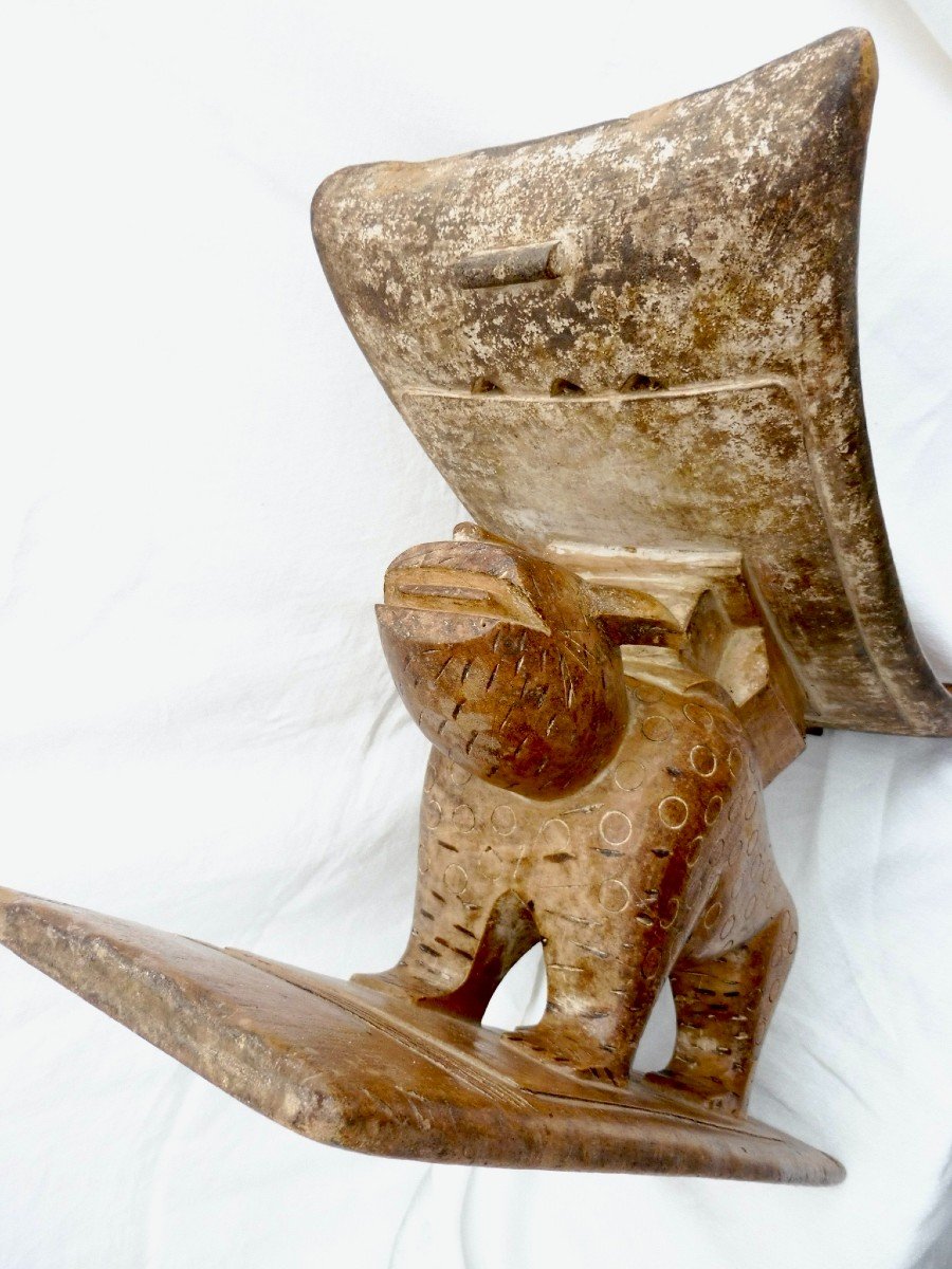 Customary Chief Stool Carved With A Panther Ghana African Art 54x18x34 Cm Nineteenth Century Ashanti Baoule-photo-7