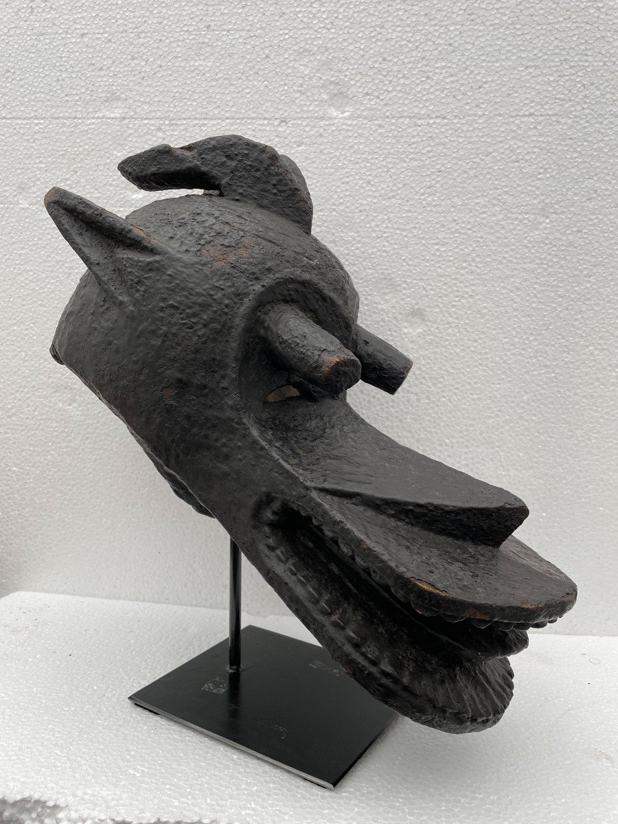 Rare Crest Mask Or Helmet "suaga Bor" Mambila (nigeria). “magpie-dog” Zoomorph. 47cm-photo-3