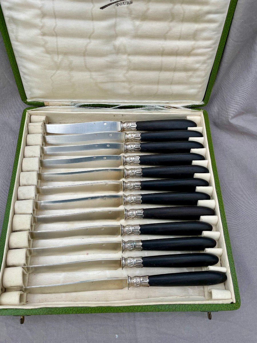 Paul Canaux (& Cie) coffret de 12 couteaux à fruits dessert lames argent massif manches ébène -photo-6
