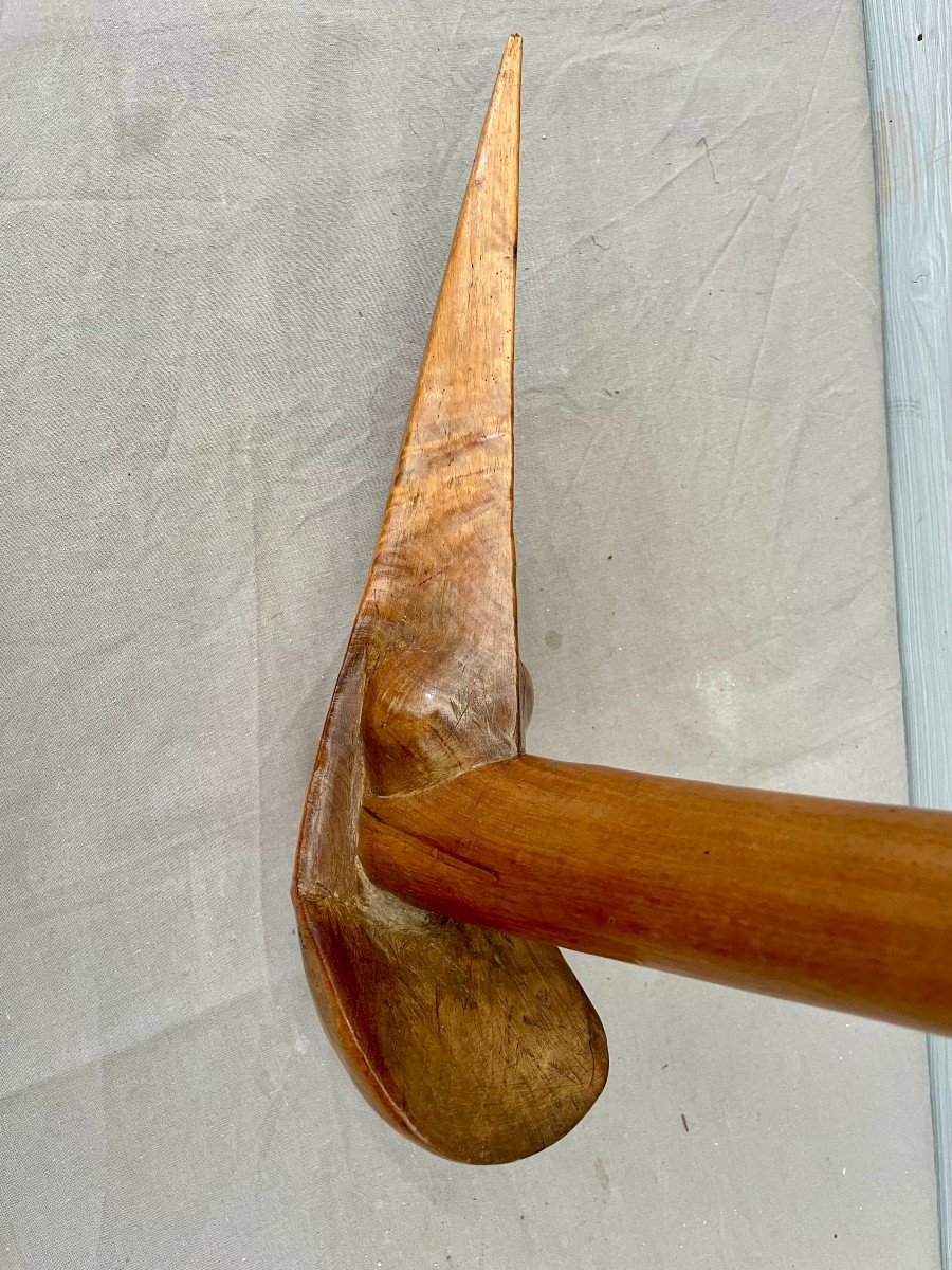 Kanak Bird Beak Mace Kagu Cagou New Caledonia Gaïac Wood 19th Century Melanesia-photo-8