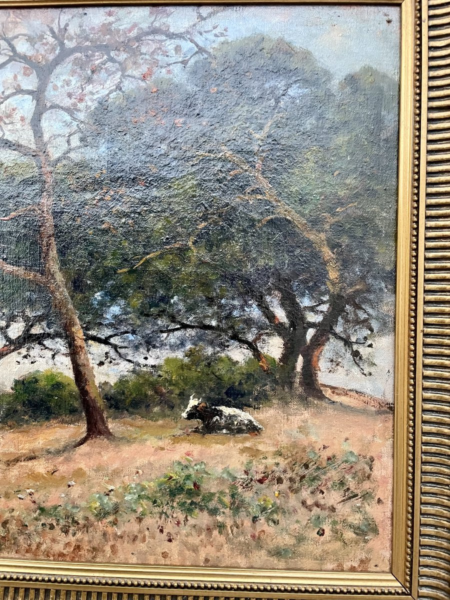 Eugène Vergez (1848-1926) Le Pouldu, Finistère, Brittany, 1896, Coastal Landscape, Oil On Canvas, 35 X 55 Cm -photo-3