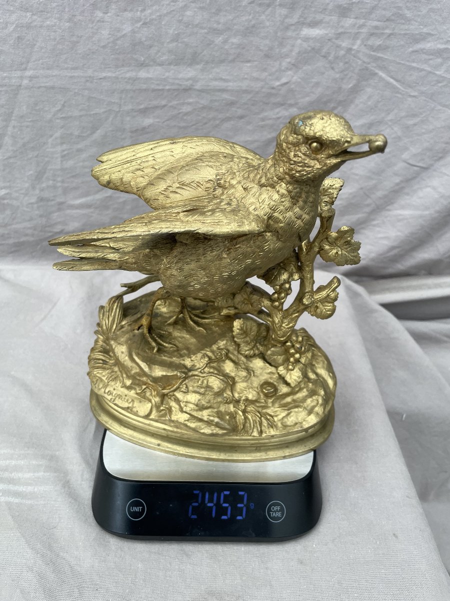 Jules Moigniez (1835–1894) Bird: Grape Thrush Or Berry Thrush 23 × 18 Cm 19th Century Gilded Bronze-photo-3