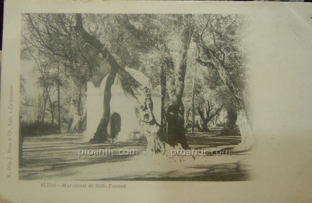 Fortunio XIXème Huile Orientaliste Algérie Blida Marabout De Sidi Yacoub 19ème-photo-8