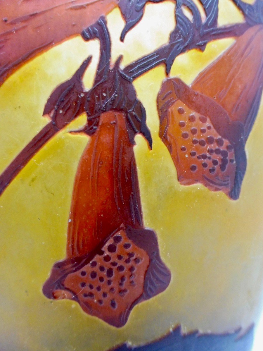 Art Nouveau Vase Daum-photo-5