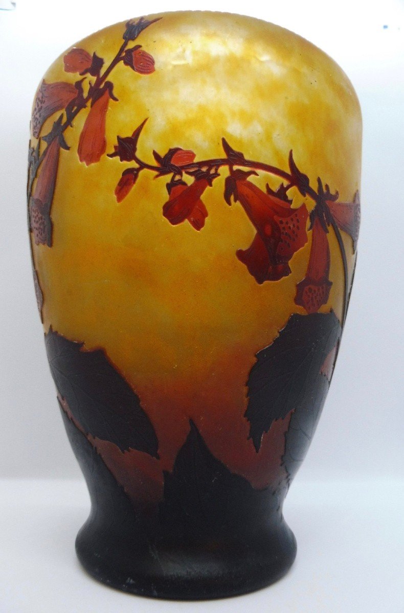 Art Nouveau Vase Daum-photo-7
