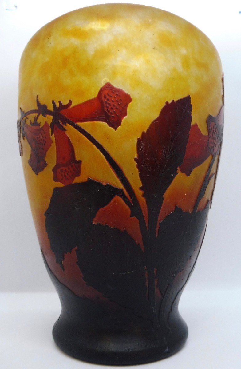 Art Nouveau Vase Daum-photo-8