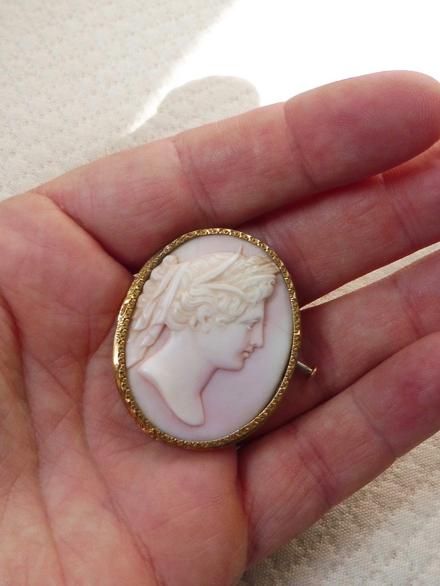 Oval Brooch Cameo Shell Bust Profile Young Woman Draped In The Antique 18k Gold Frame Nineteenth Century-photo-3