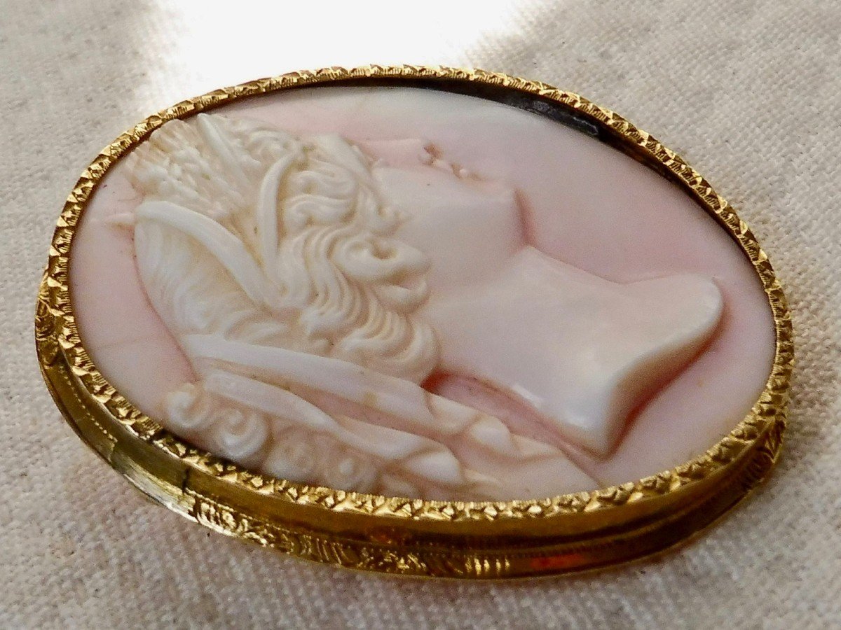 Oval Brooch Cameo Shell Bust Profile Young Woman Draped In The Antique 18k Gold Frame Nineteenth Century-photo-4
