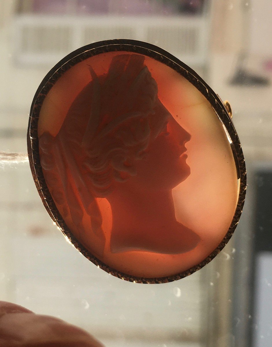 Broche Ovale Camée Coquillage Buste Profil Jeune Femme Drapée à l'Antique Monture Or 18k XIXème 19ème-photo-1