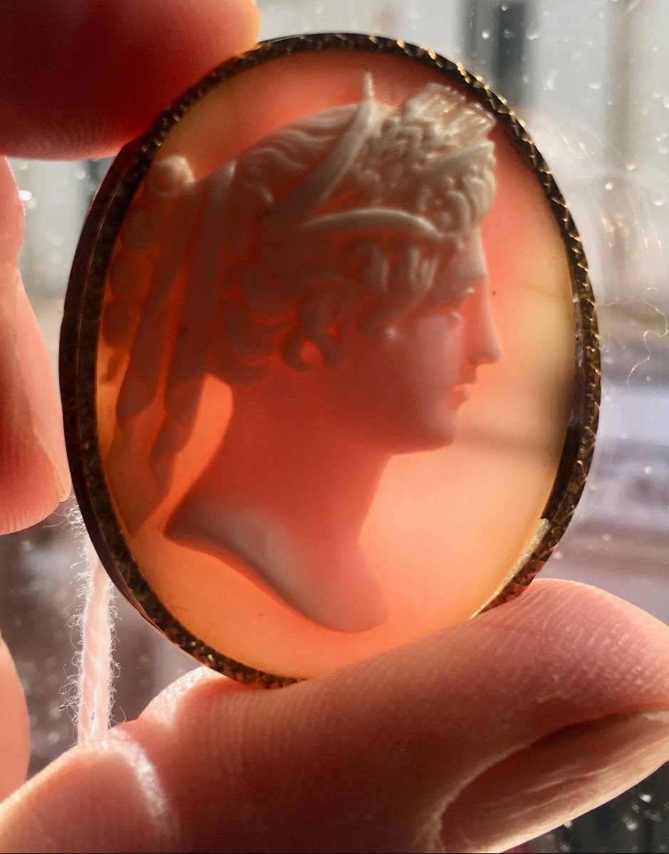 Oval Brooch Cameo Shell Bust Profile Young Woman Draped In The Antique 18k Gold Frame Nineteenth Century-photo-2