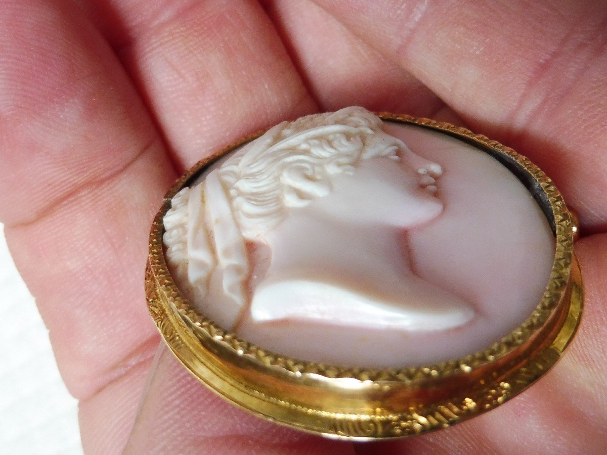 Oval Brooch Cameo Shell Bust Profile Young Woman Draped In The Antique 18k Gold Frame Nineteenth Century-photo-3