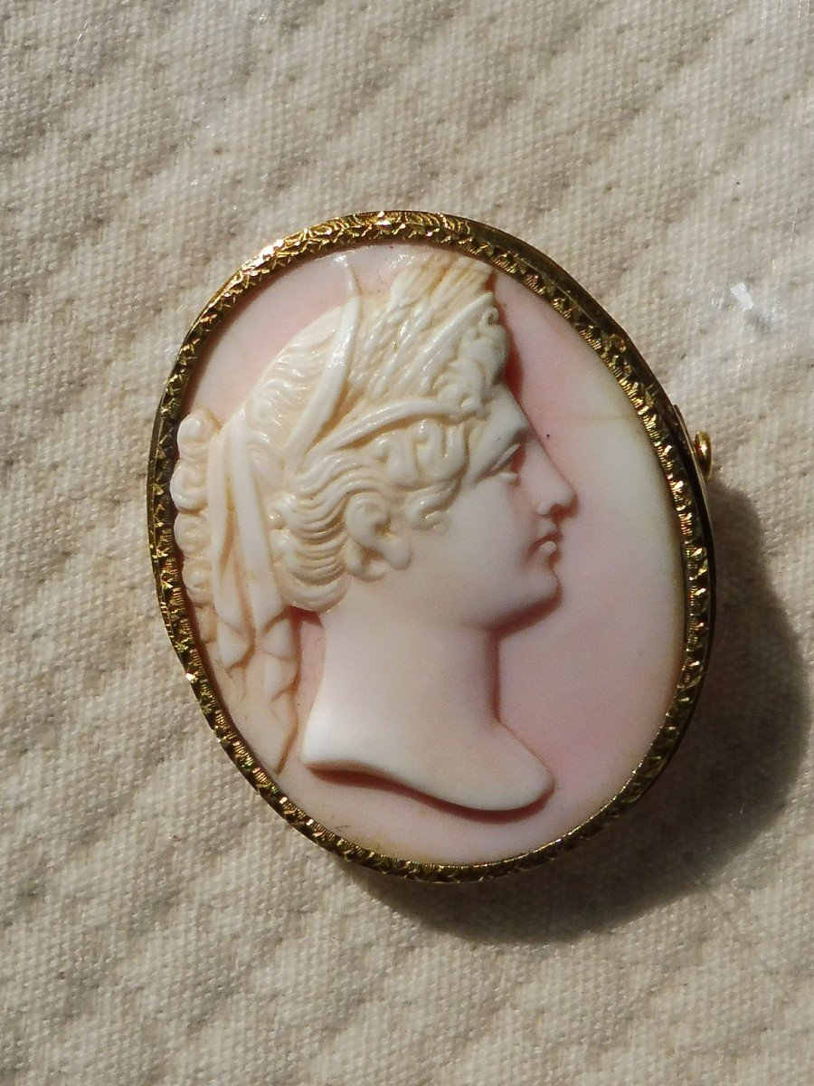 Oval Brooch Cameo Shell Bust Profile Young Woman Draped In The Antique 18k Gold Frame Nineteenth Century-photo-8