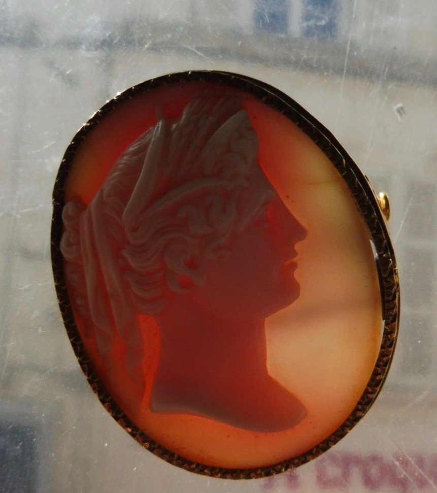 Oval Brooch Cameo Shell Bust Profile Young Woman Draped In The Antique 18k Gold Frame Nineteenth Century