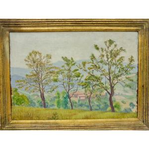 Charles Lacoste (1870-1959) Landscape Of The Basque Country Oil On Canvas 10p 38x55 Cm  Post-impressionist