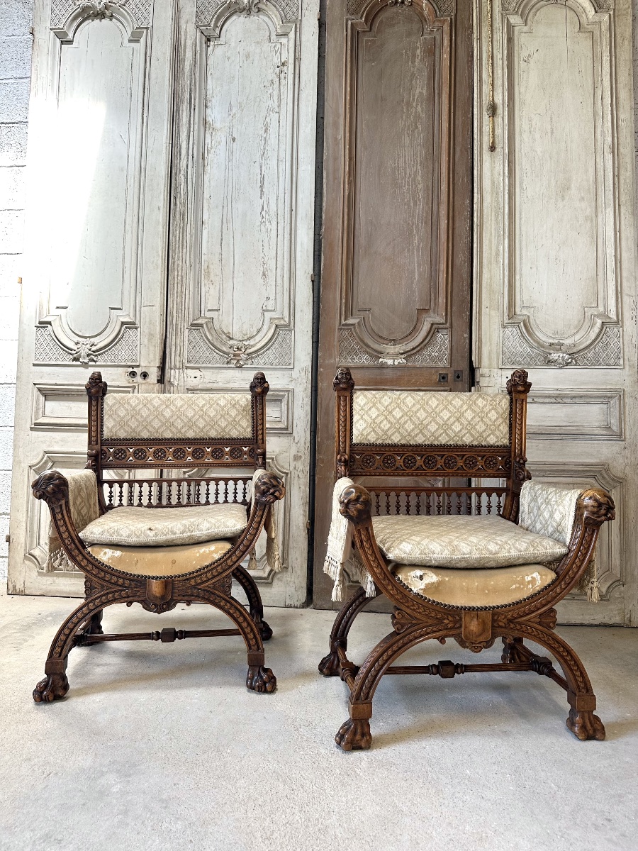 Pair Of Walnut Armchair 19th Century -photo-2