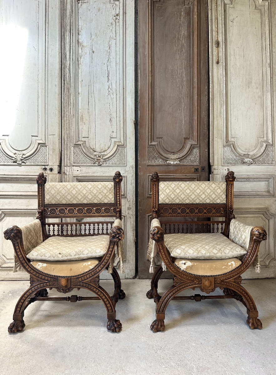 Pair Of Walnut Armchair 19th Century 